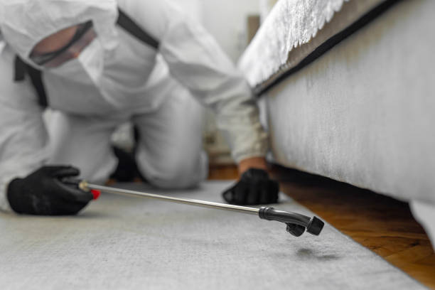 Professional Pest Control technician working in Hempstead County County, AR